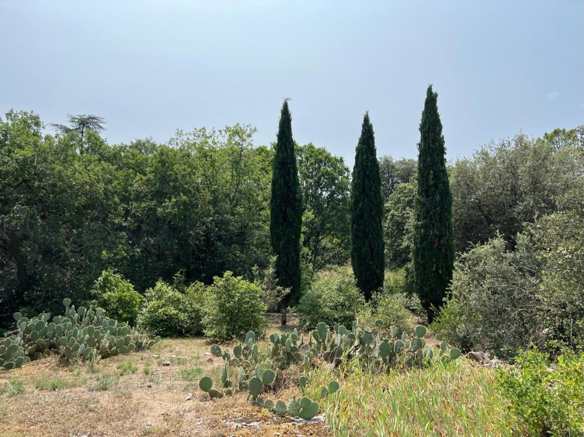 莱旺Luxurious Family House With Pool In Ardeche.别墅 外观 照片